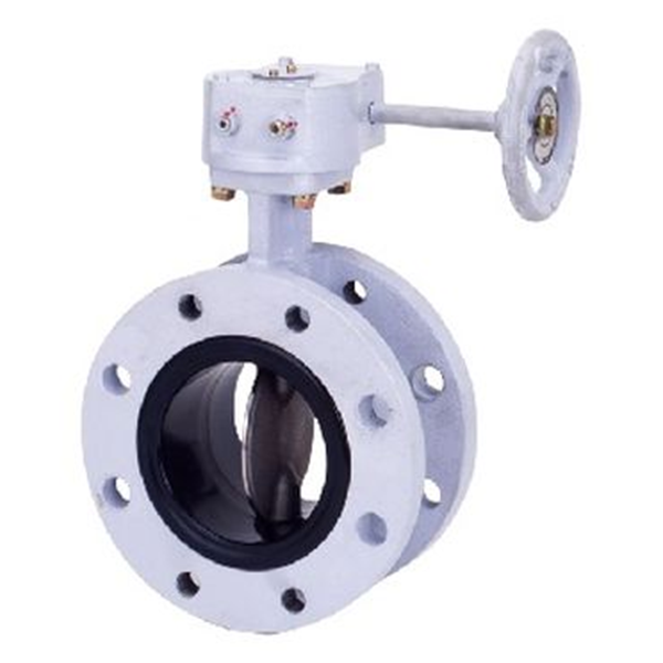 KITZ開滋閥門\10K不銹鋼杠桿蝶閥10UBM-100A